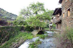 B_alagon-gata-hurdes_5