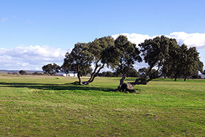 B_GALISTEO_GOLF_07