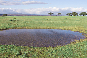 B_GALISTEO_GOLF_11