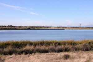 B_PARQUE_ORNITOLOGICO_EMBALSE_ARROCAMPO_05