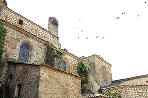 ZEPA Colonias Cernícalo Primilla Plasencia y el Cachón