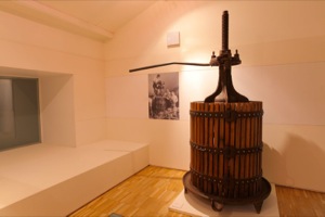 B_MUSEO_CIENCIAS_VINO_05