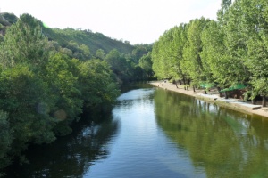 Río Los Angeles - Pinofranqueado